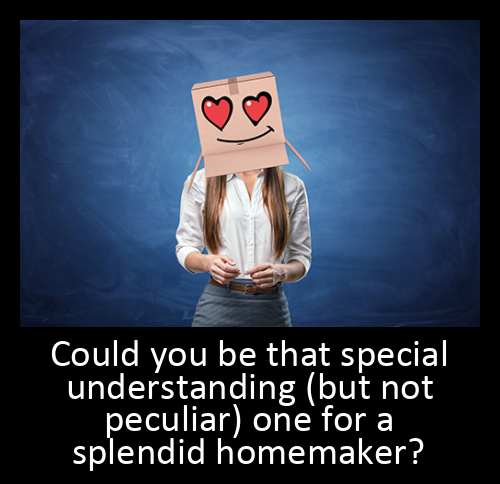 Could you be that special understanding (but not peculiar) one for a splendid homemaker?